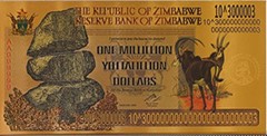 images/zim_yottatillion_dollars_1,000,000.jpg